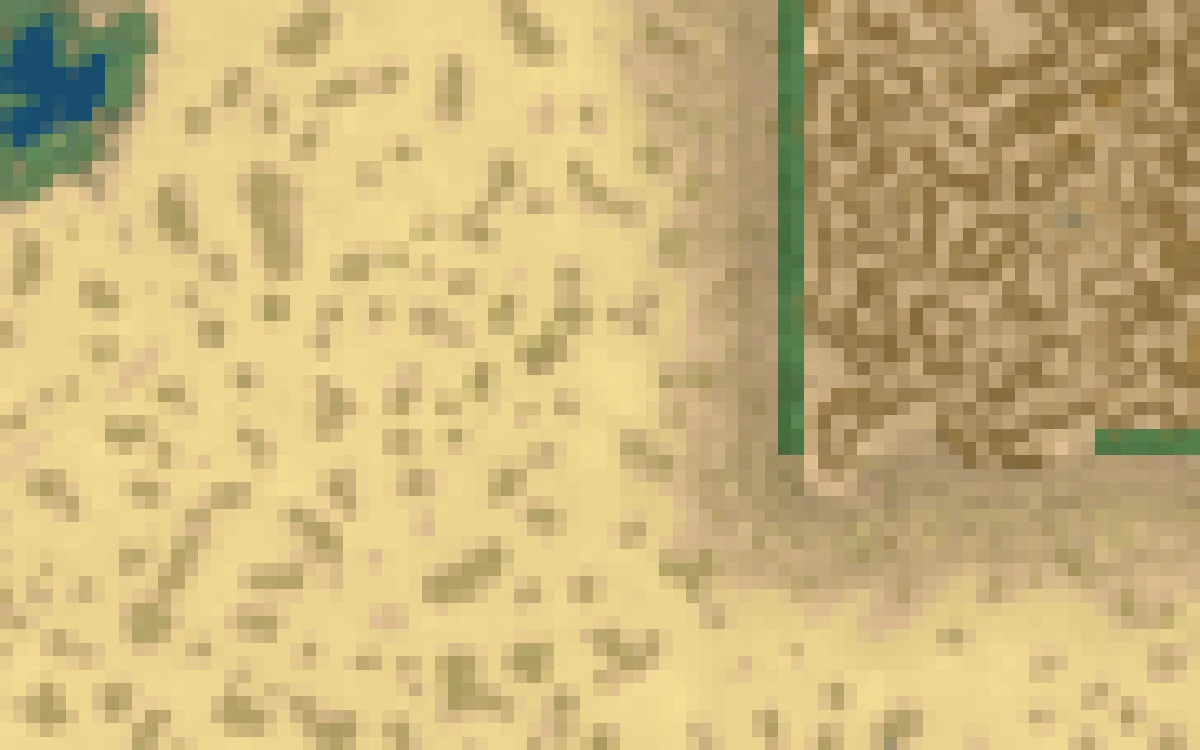 Close-up of Magical Ocean around the entrance